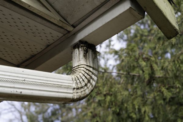 Cost of Roof Drain Replacement in Eden Prairie